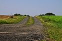 Feldweg zum Regenüberlaufbecken an der Körne